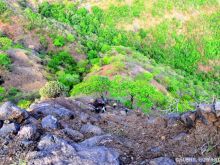 Arthur Malet #1070795 picture (Landscape Medium)