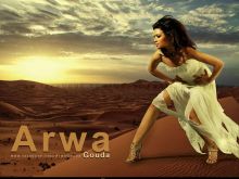 Arwa Gouda
