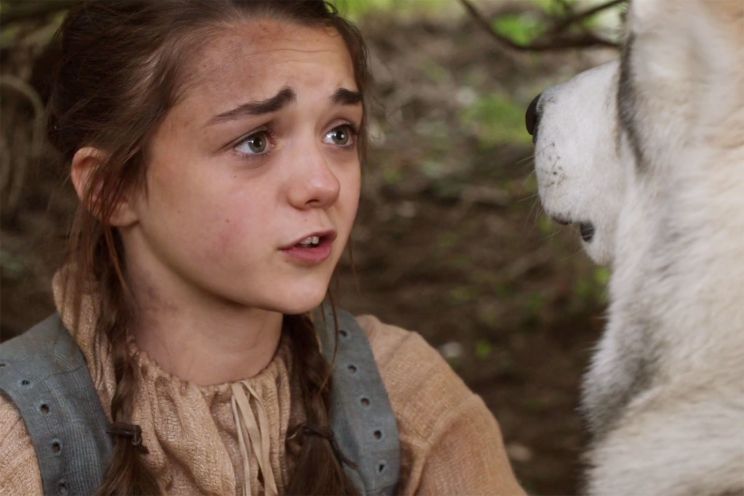 Arya
