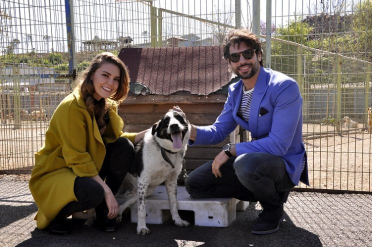 Asli Enver