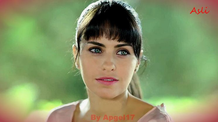 Asli Tandogan