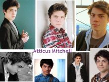 Atticus Mitchell #553329 picture (Landscape Medium)