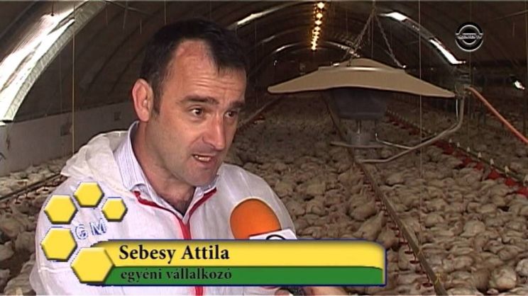 Attila Sebesy