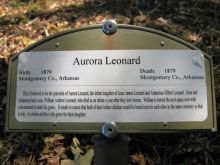 Aurora Leonard