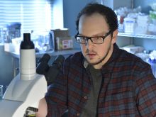 Austin Basis