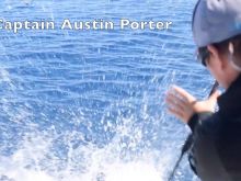 Austin Porter
