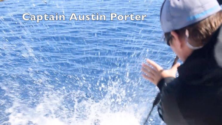 Austin Porter