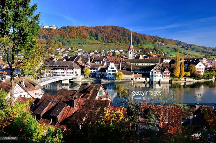 Autumn Stein