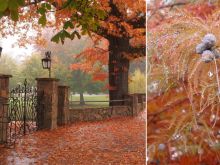 Autumn Victoria