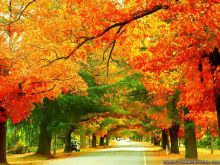 Autumn Victoria