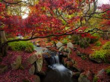 Autumn Victoria