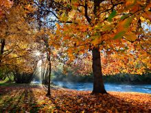 Autumn Victoria