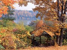 Autumn Victoria