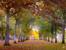 Autumn Victoria
