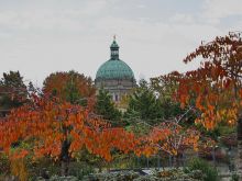 Autumn Victoria