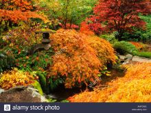 Autumn Victoria
