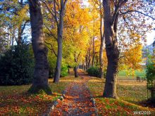 Autumn Victoria