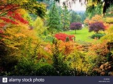 Autumn Victoria