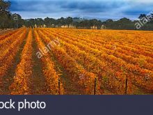 Autumn Victoria