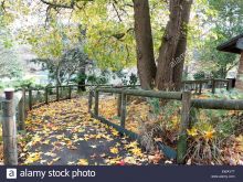 Autumn Victoria
