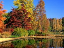 Autumn Victoria