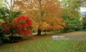 Autumn Victoria