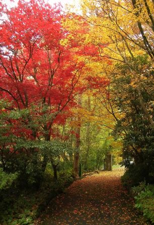 Autumn Victoria