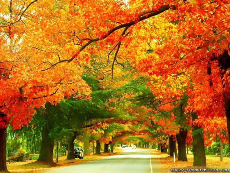 Autumn Victoria