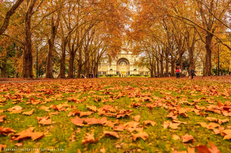 Autumn Victoria