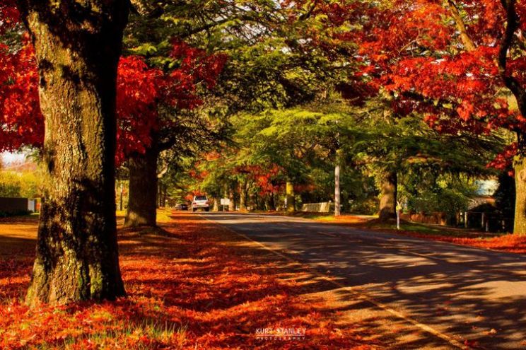 Autumn Victoria