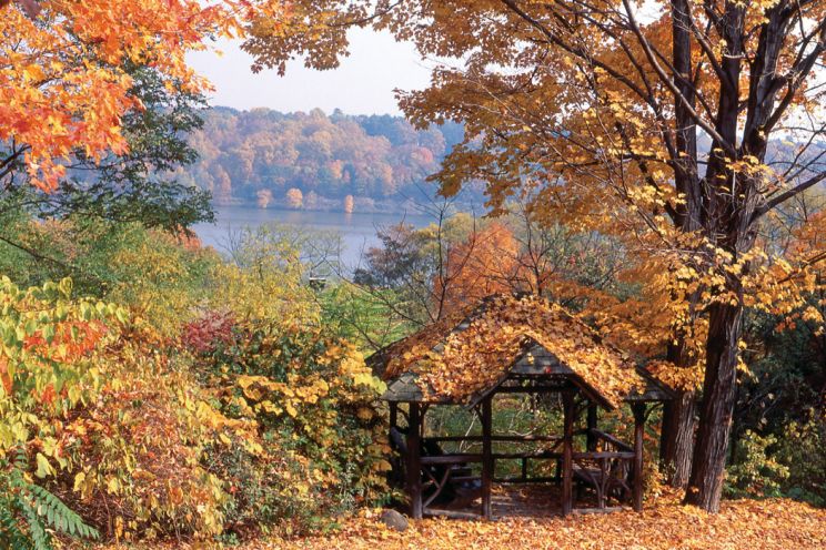 Autumn Victoria