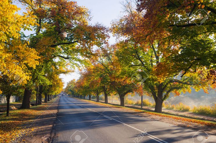 Autumn Victoria