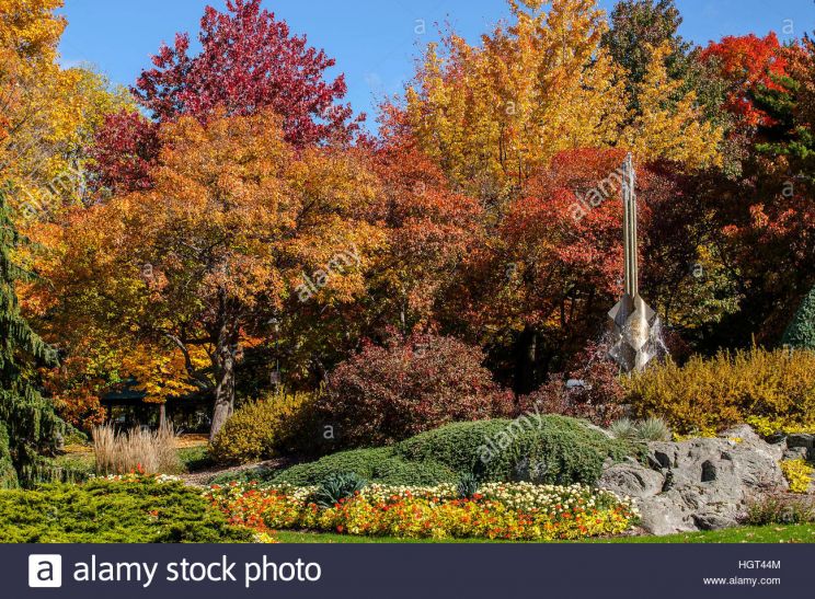 Autumn Victoria