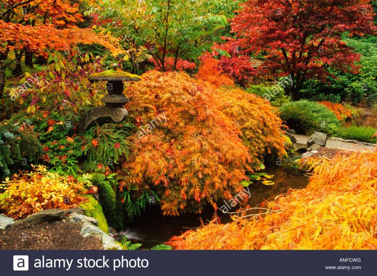 Autumn Victoria