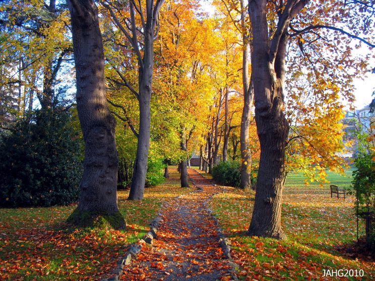 Autumn Victoria