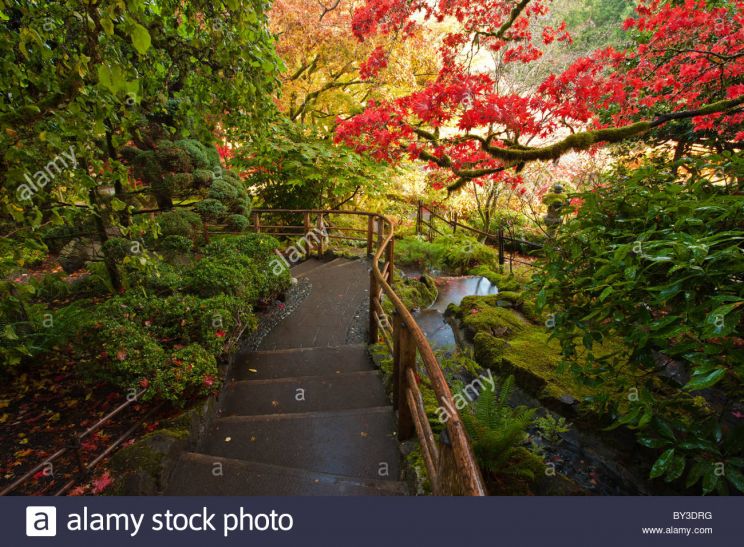 Autumn Victoria