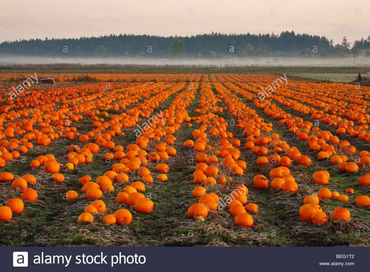 Autumn Victoria
