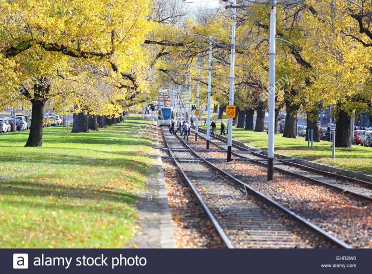 Autumn Victoria