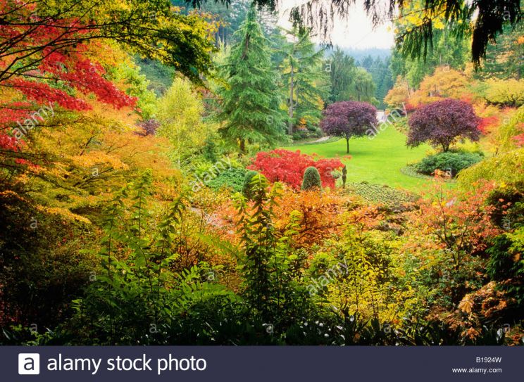 Autumn Victoria