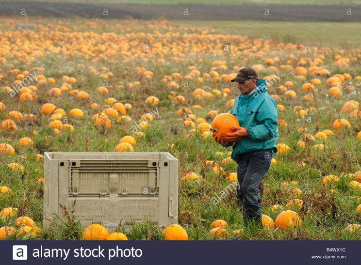 Autumn Victoria