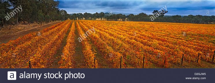 Autumn Victoria