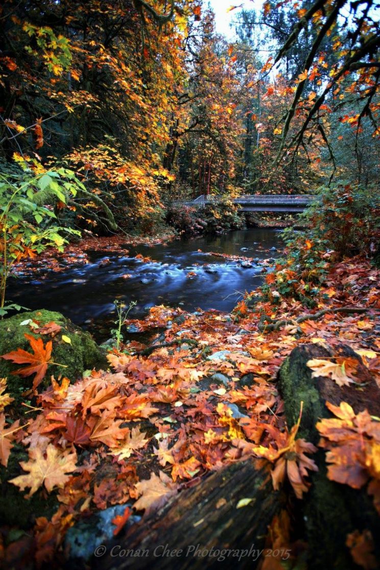 Autumn Victoria