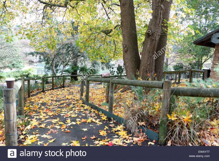 Autumn Victoria