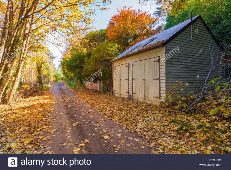 Autumn Victoria