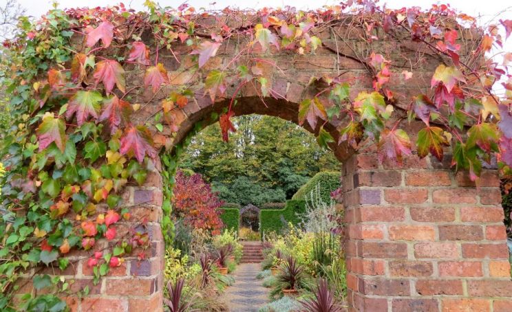 Autumn Victoria