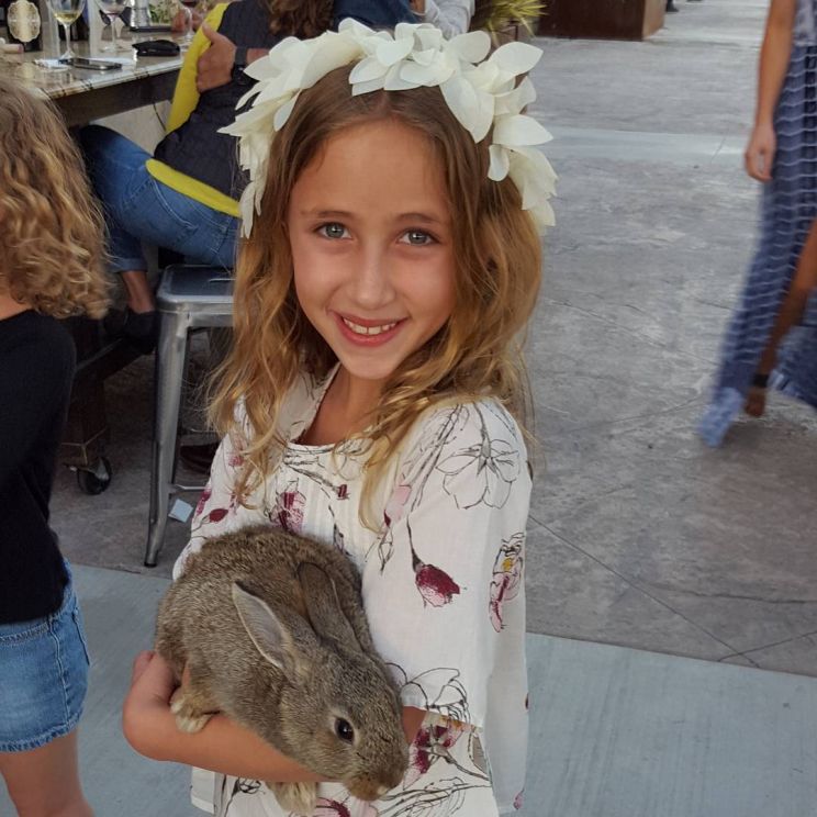 Ava Kolker