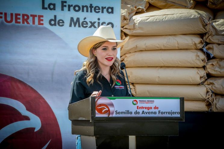 Avena Lee