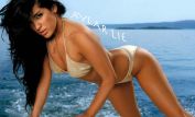 Aylar Lie