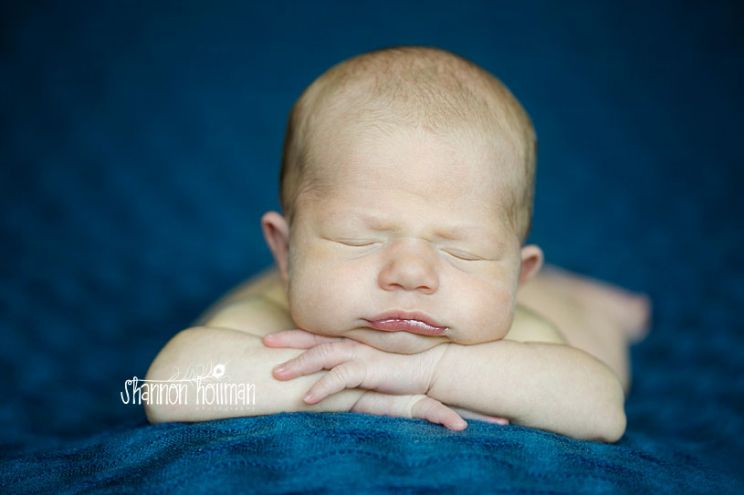Baby Norman