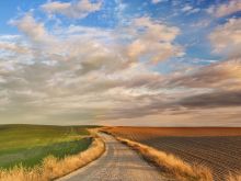 Bahare Seddiqi #2825367 picture (Landscape Medium)